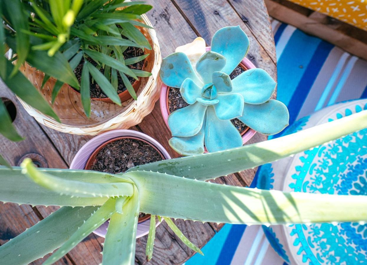 The Kalifornia I Stilvoll Mit Urlaubsfeeling I Dachterrasse I Klima Apartman Karlsruhe Kültér fotó